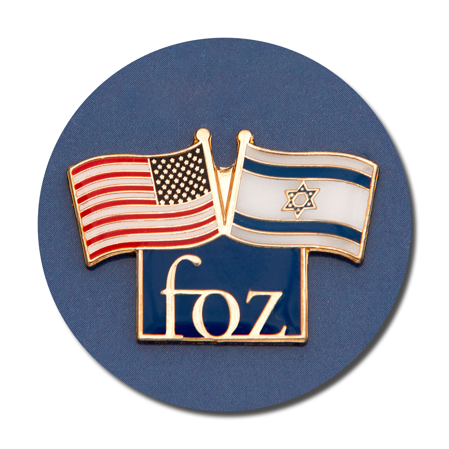 Friends of Zion lapel pin
