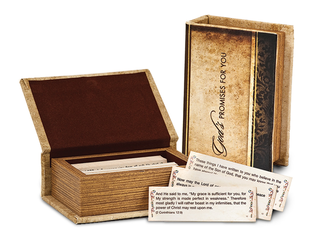 Friends of Zion pen, lapel pin, and a Bible Promise Box