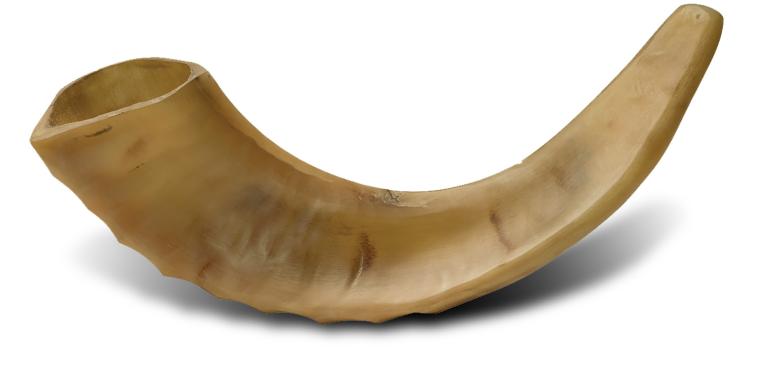 Friends of Zion pen, lapel pin, Bible Promise Box, and a ram’s horn shofar