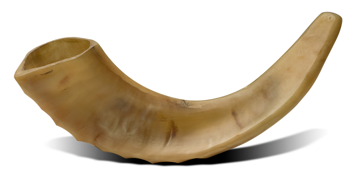 Bible Promise Box, Olivewood Pen, and an authentic ram’s horn shofar from Israel
